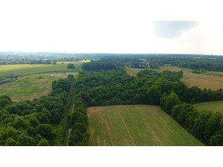 TRACT 55 - ILLINOIS LAND AUCTION - 4,810+/- ACRES OFFERED IN 85 TRACTS IN FRANKLIN, WILLIAMSON, HAMILTON & SALINE COUNTIES, ILLINOIS